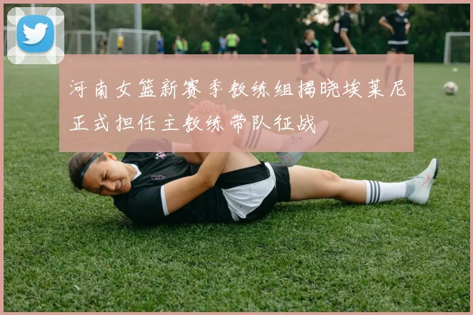 河南女篮新赛季教练组揭晓埃莱尼正式担任主教练带队征战